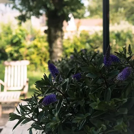 Vakantiewoning Mv8 *