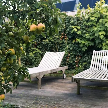 Ferienhaus Vakantiewoning Mv8 *