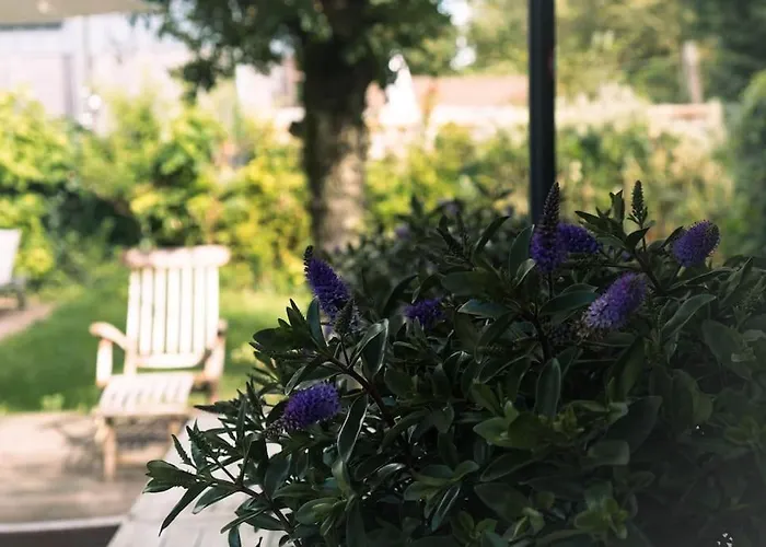 Vakantiewoning Mv8 *