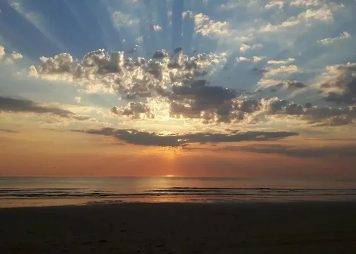 Vakantiewoning Mv8 * Egmond-Binnen